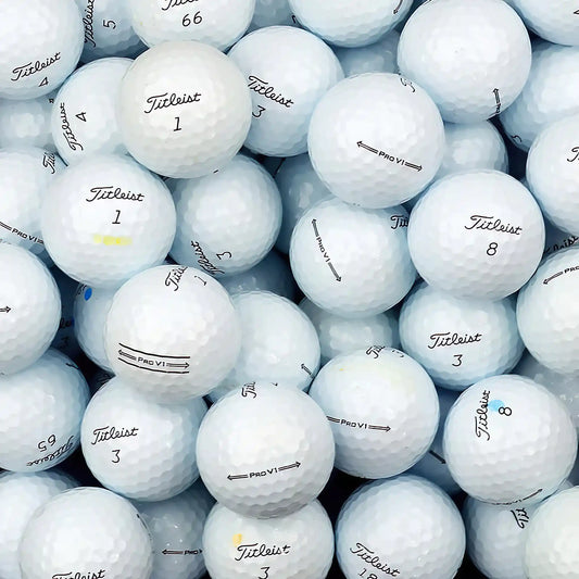 Titleist Pro V1 2021 Lake Balls