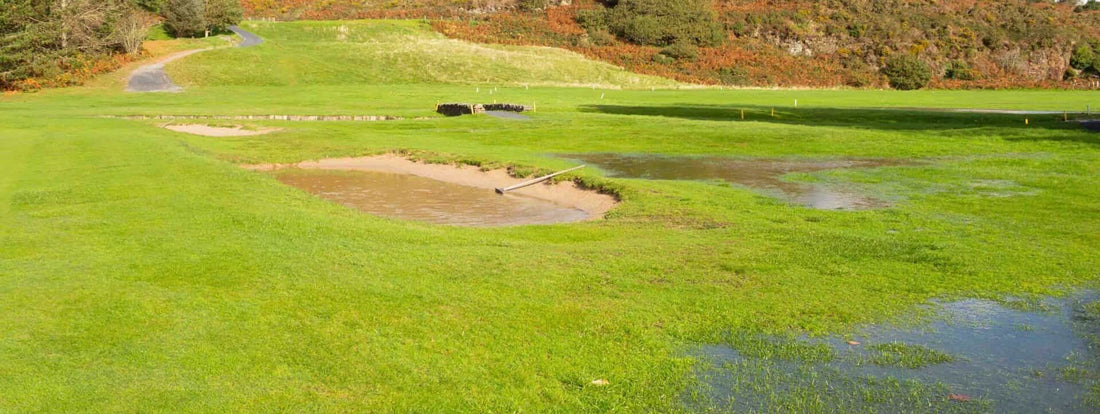 What are the best golf balls to use in the rain?