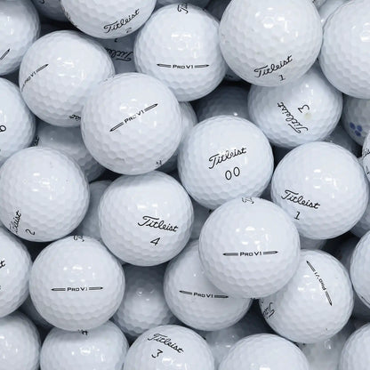 Titleist Pro V1 2023 Lake Balls